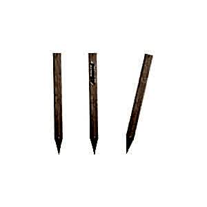 Mini Naturel Köşeli Kurşun Kalem