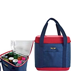 Katlanabilir Termos Çanta